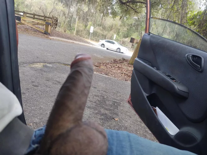 Hard at work by Satoshi108