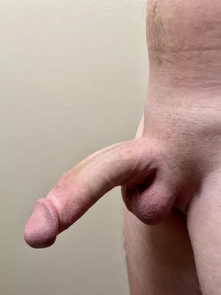 Hard at work by NoTraffic2936