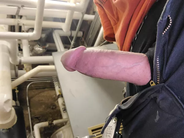 Hard at work while hard at work! by throwawayva12321