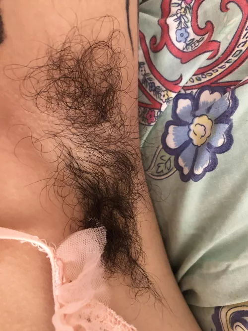 hard not to love these beauties🥺💙 by Rutelessa