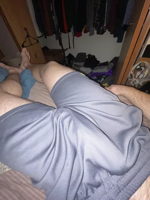 Hard to hide by testetortellini