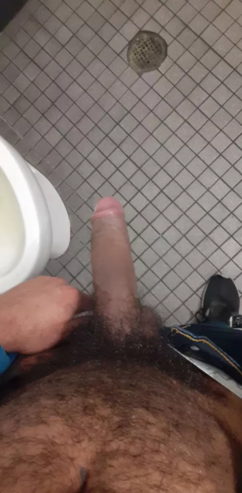 Hard to hide him sometimes by Accomplished-Seat-46