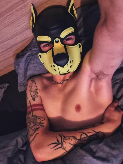 Have a good day! by Chevalery