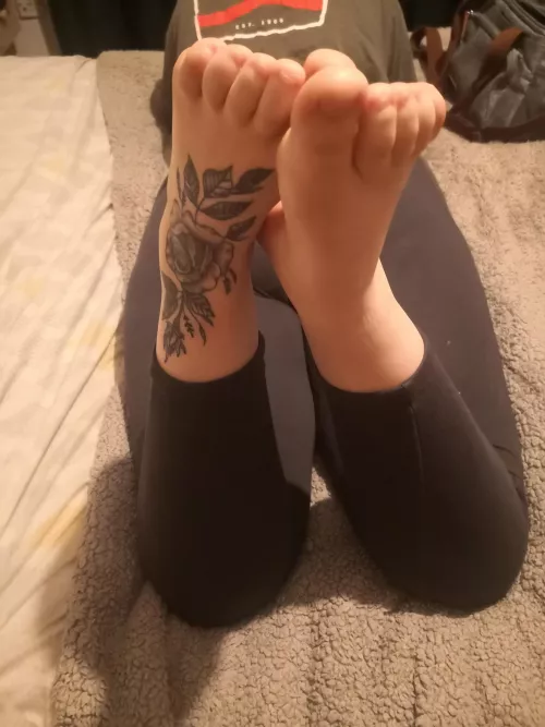 Have a good look before you start sucking on my toes by markoandshona