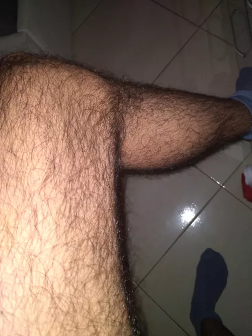 Have a great day, hairy bros! by Lucky-Aerie4