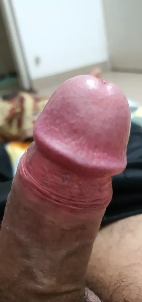 Have a great juicy night by hung_horse_