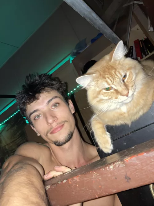 Have a great night! From me and my 🐱😊 by onedik1