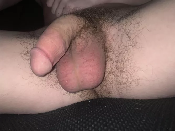 have a nice night :D (18) by Beginning-Ad1436