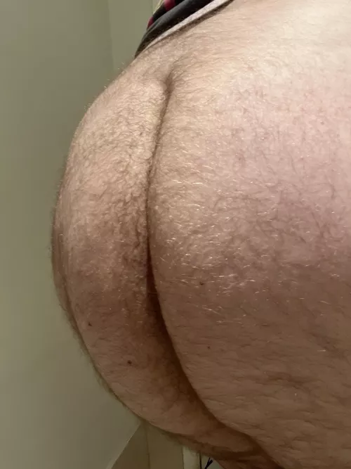 Have always been a bit self conscious about being a bear, love being with bear bottom chasers who take control though by BNE21