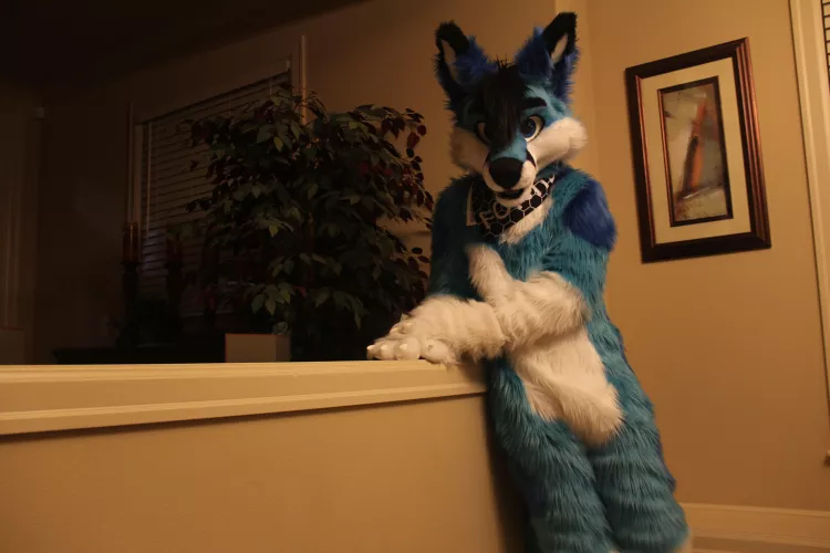 Have you ever been so lost? Or lonely? by spiritofniter