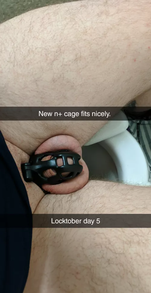 Haven't been around for a while, figured I'd check in on day 5. by thatanonymusguy