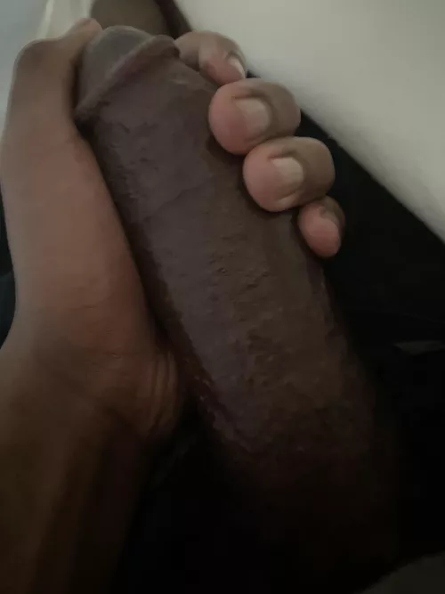 haven’t posted here in a minute by stellarhaus