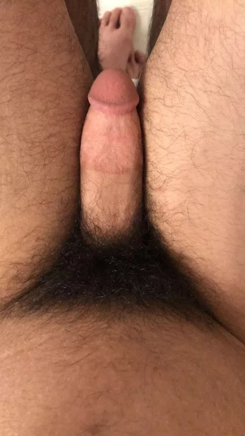 Haven’t shaved in years by throwawaydicklvr