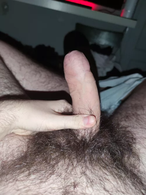 haven't trimmed in years, messages open :) by Raven11229