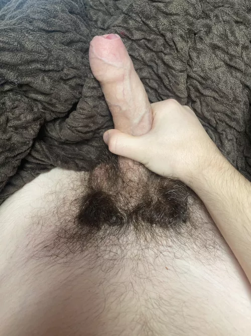 Haven’t trimmed since June by Uncuthairylover