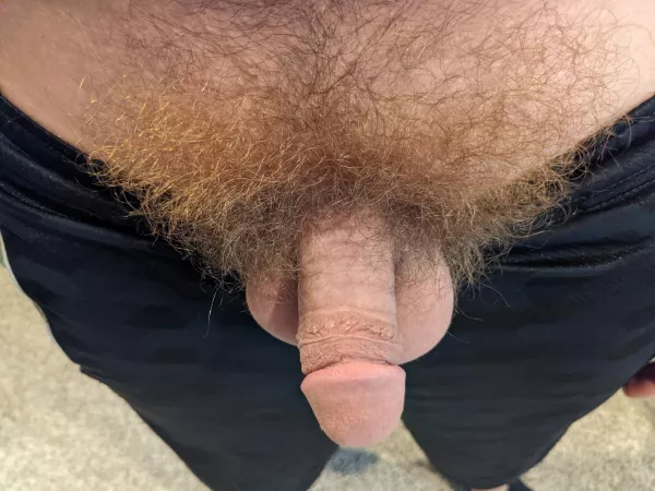 Haven't trimmed since the pandemic started. by throwthrow012