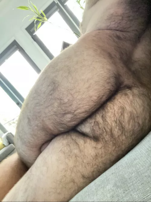 Having a hard time getting out of bed this morning. by NCWolfieCub