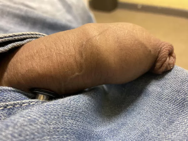 Having a little rest. by Swanbaps1