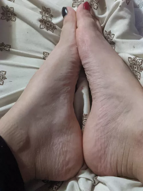 Having a relaxing night. How about you? by TogetherFeet