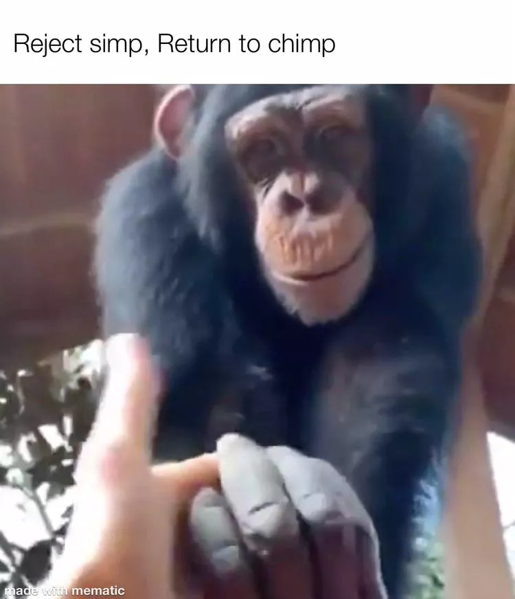 He can save you posted by Unnecessary_Fella