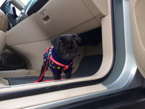 He can't make the little jump by BearCatcher23