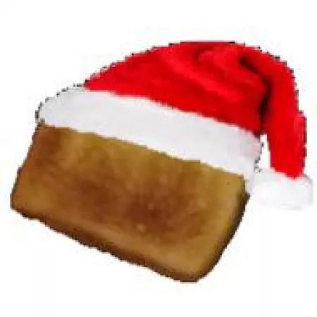 he is festive by coloradoisland