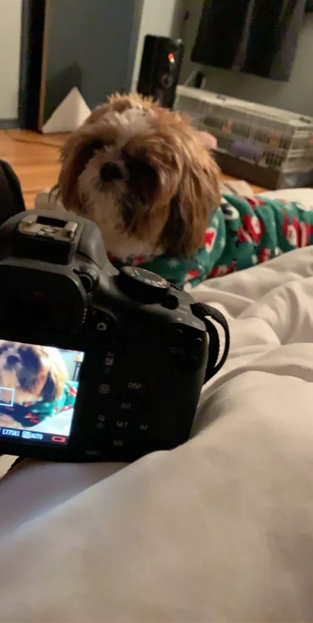 he loves sweaters by blaazee420