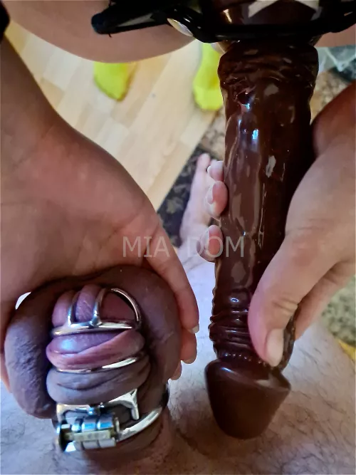 He says he does not like it. I think he does very much. by Mia_Dom