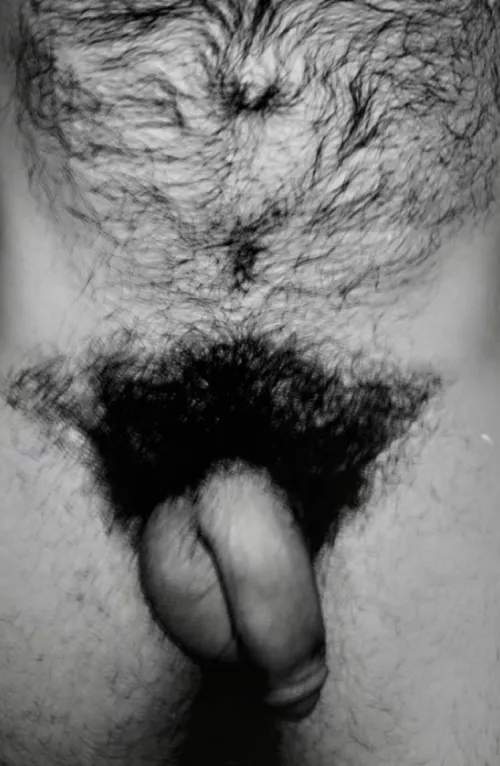 He took this pic of my penis after I'd fucked him and fallen asleep. by jerseyjaxoff