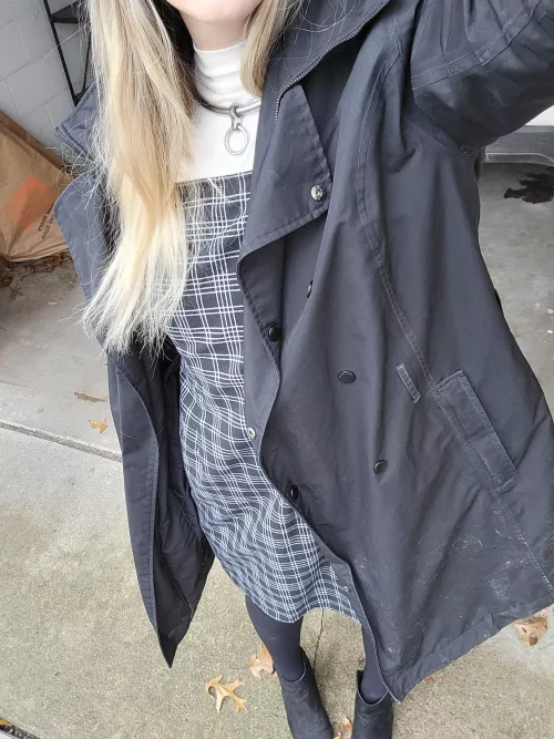 Headed out to do some errands today 😽 by collaredbabe