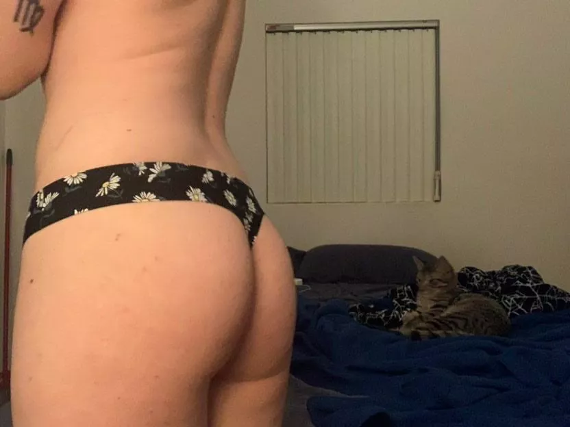 Heard y’all like cats posted by mmaeflowerr