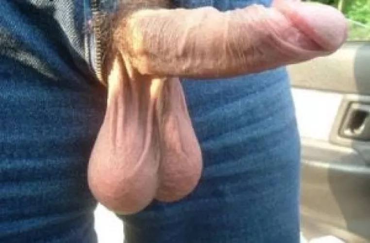 Heavy and full bull balls by Homosexualmeme-