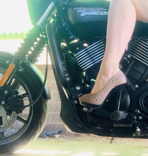 Heels & Harleys