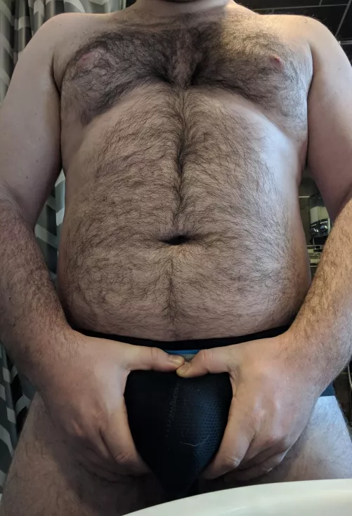 Hefty & husky by EmeraldCub