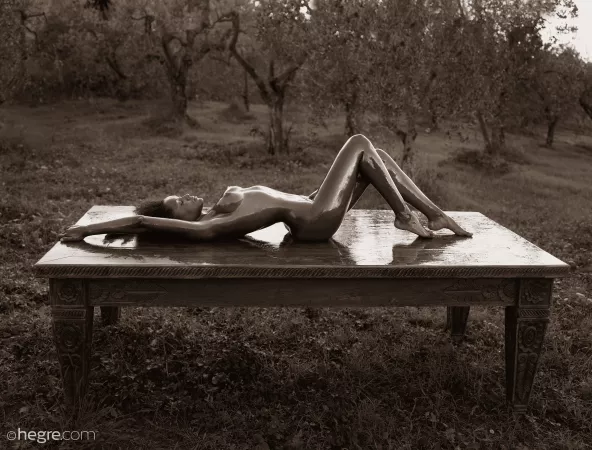 Hegre Renaissance Nudes by novamr