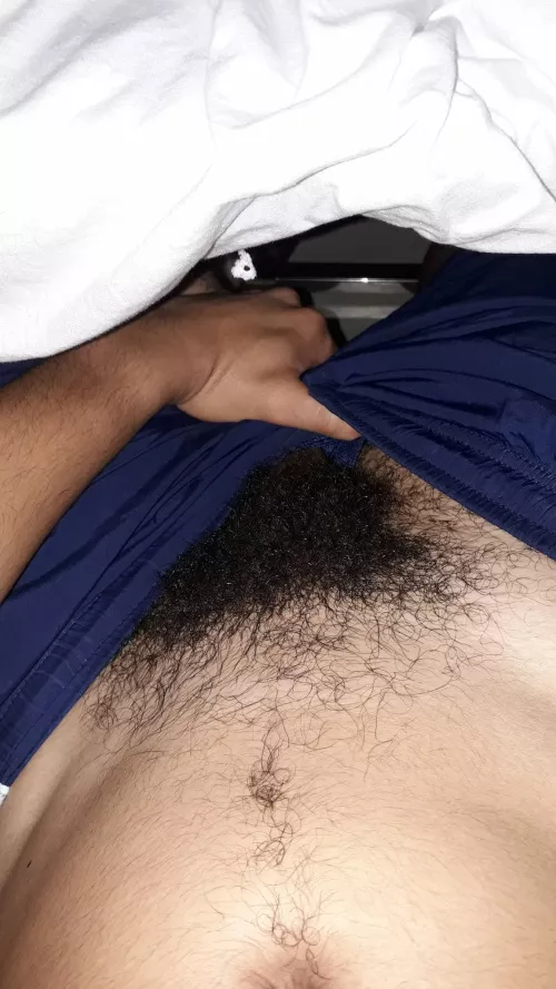 🌿hello🌿 by wooPzx