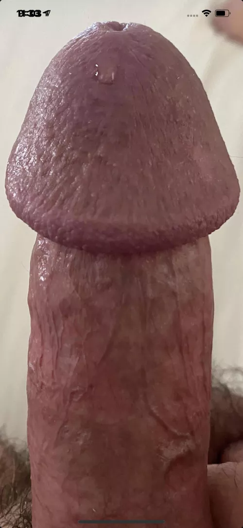 Hello by kylesintheroom