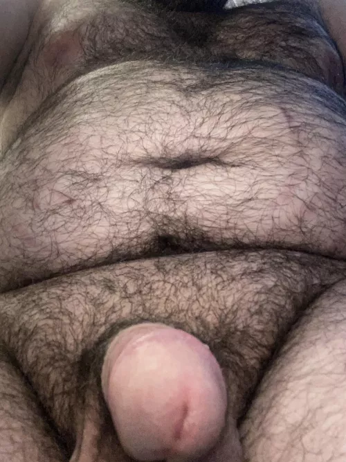 Hello again lovely bears by DeliciousGuarantee21