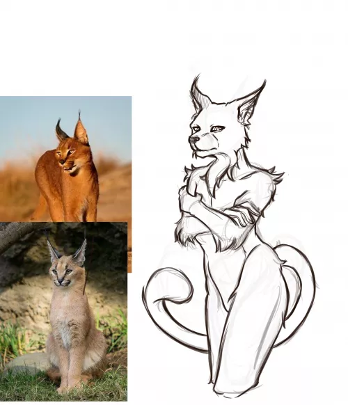 Hello! Can you tell me what you think about this sketch? How can I do better please? by Mizky_