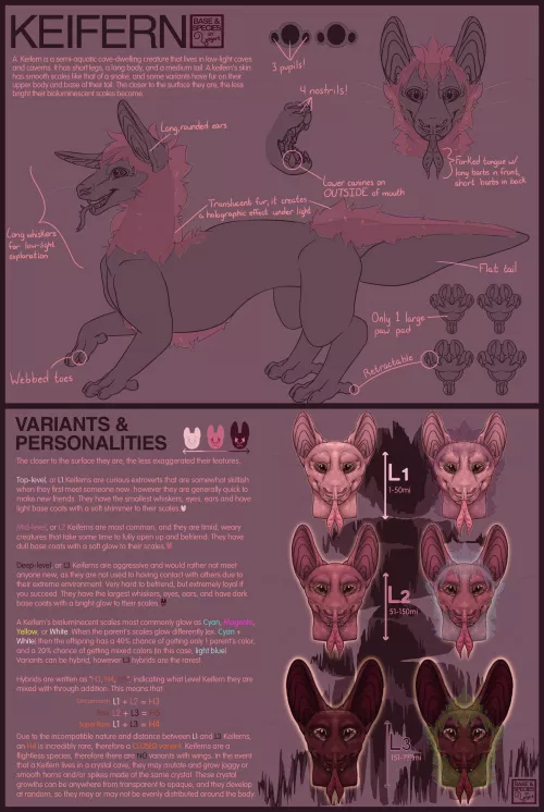 Hello everyone! ＼(≧▽≦)／ I'm happy to announce the official release of my original species, the Keifern!! I will be providing Free to Use bases for the most common variants, L1 and L2, and will have a $5 Pay to Use uncommon L3 bases, just pm me by YogertDraws