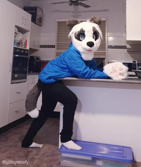 Hello fluffy furs! by Bigdogwoofy