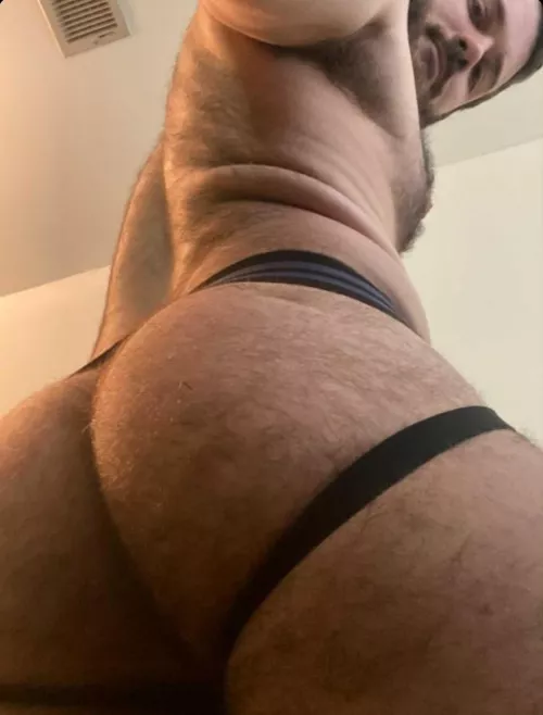 Hello from my hairy butt. by NCWolfieCub