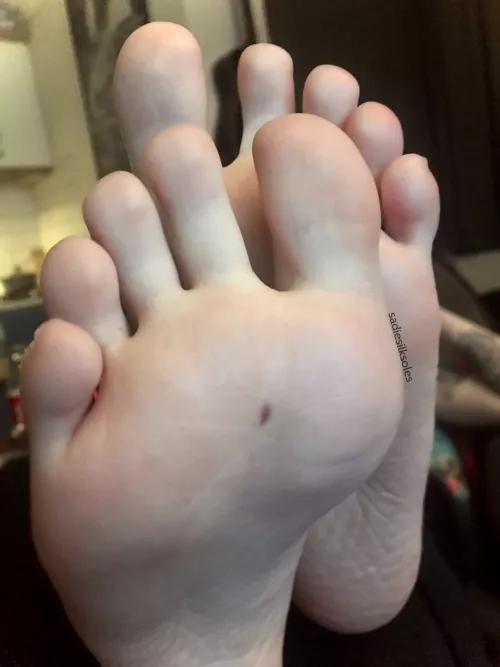 hello hello <3 by SadieSilksoles