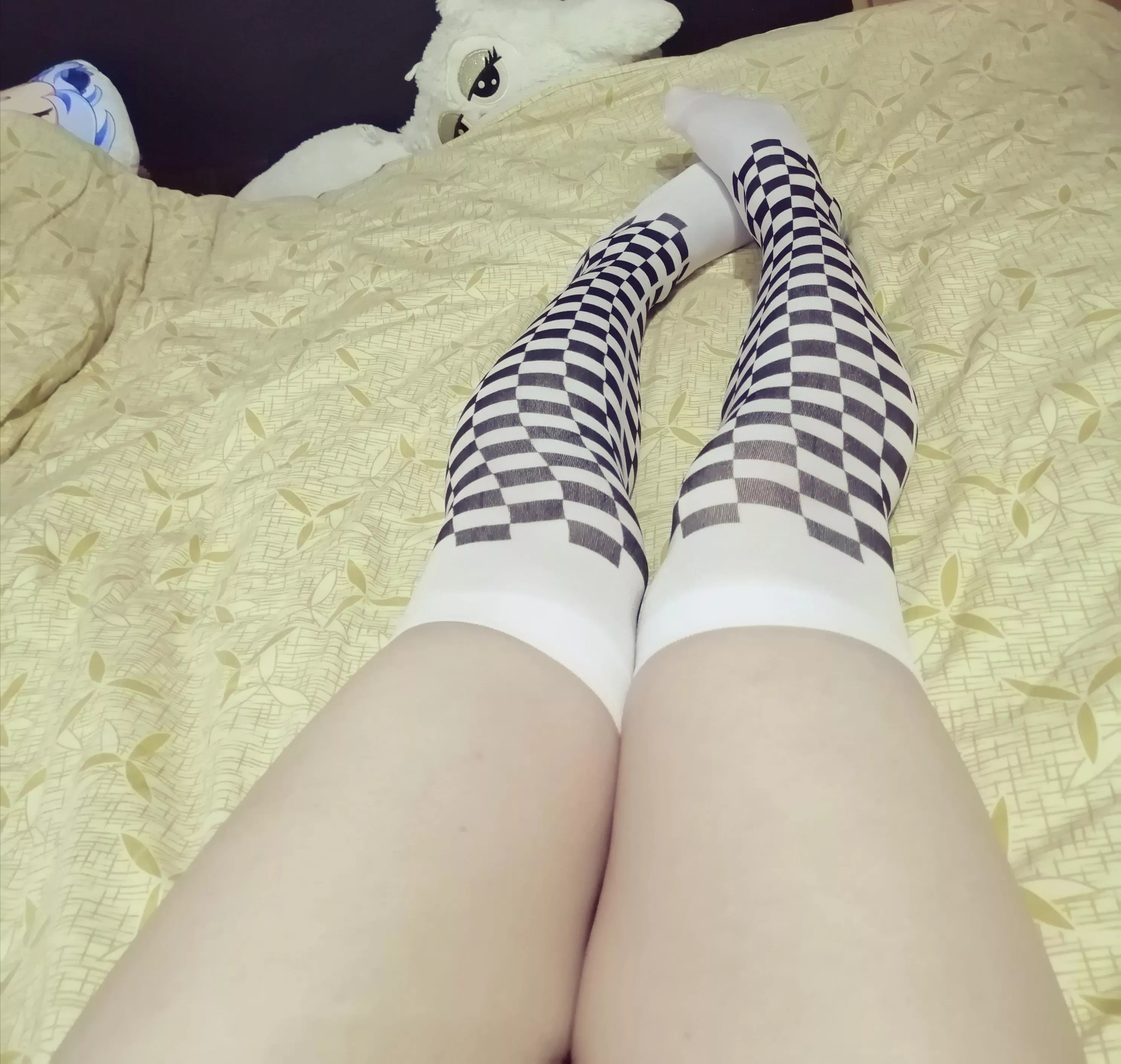 Hello how is your day going ^^ posted by Ushiyashi