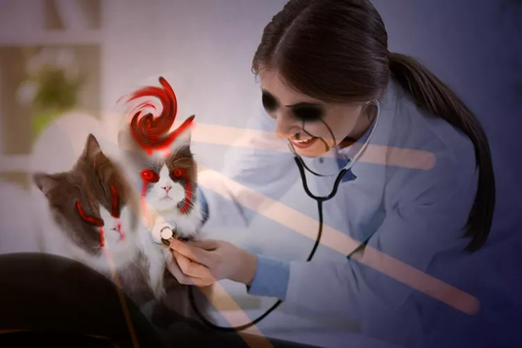 Hello my children, I came to ask for a truce between the demons and the baramangues, how are you with that? by Sweaty-Disaster3779