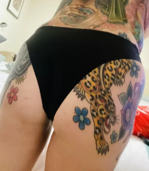 Hello pussy cat!! by Queenbeebeeboom