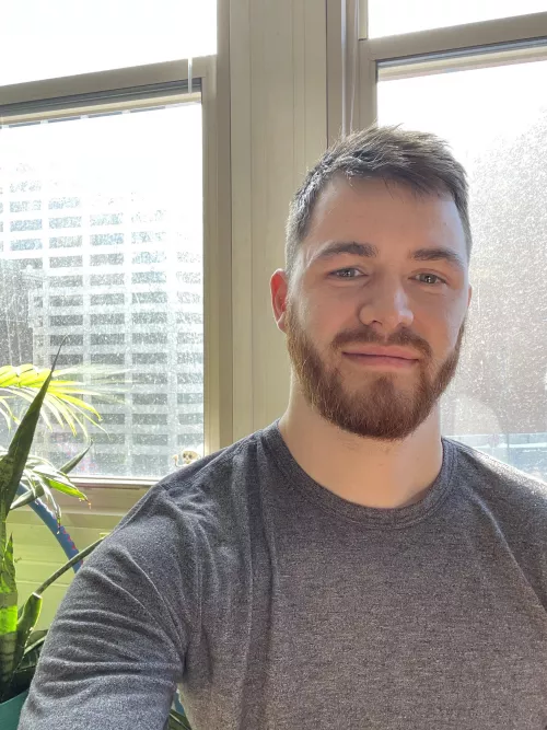 hello sunshines by Alyosha_Aureliano