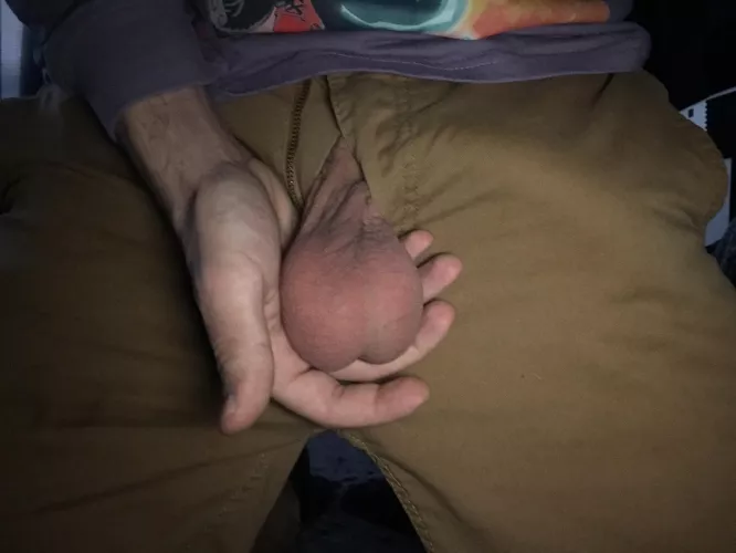 Hello there by Ok-Committee-6424