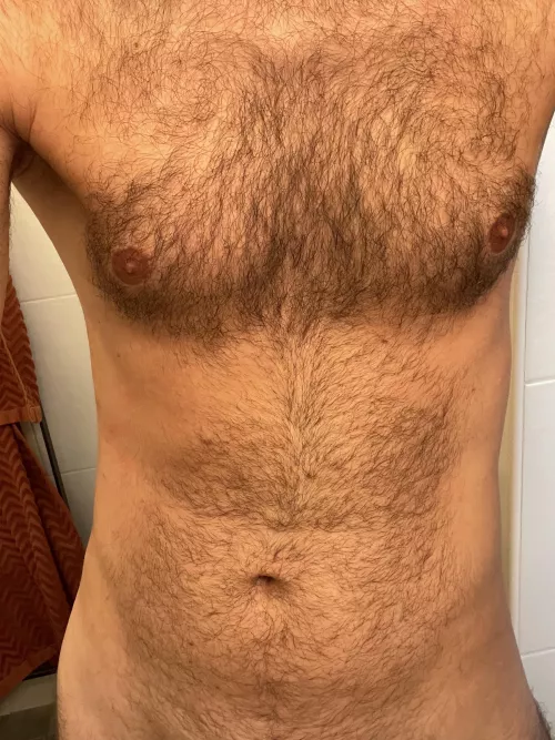 Hello there by Swelejas