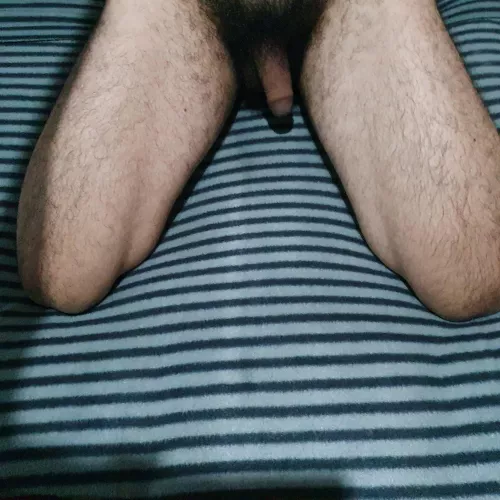 Hello. you like? what do you think of this other? by zag869